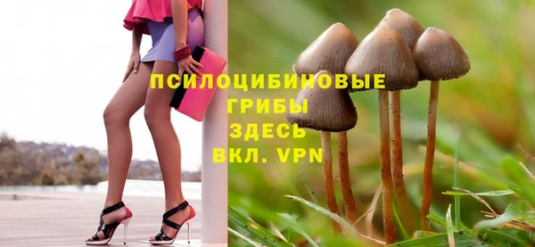 таблы Бронницы