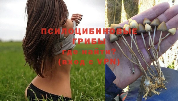 альфа пвп Бугульма