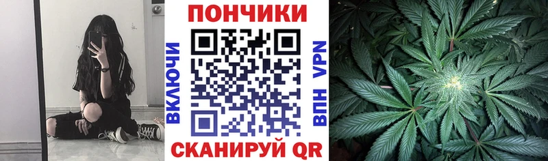 Бошки марихуана план  Данилов 